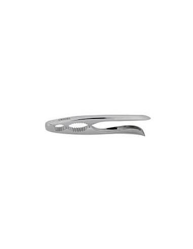 ACCESSOIRE CRISTEL CASSE NOIX