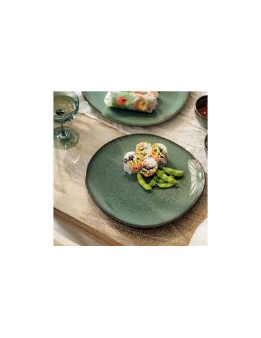 VAISSELLE VILLEROY & BOCH LAVE VERT...