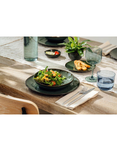 VAISSELLE VILLEROY & BOCH LAVE VERT...