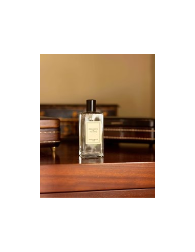 DECORATION CERERIA MOLLA SPRAY 100ML...