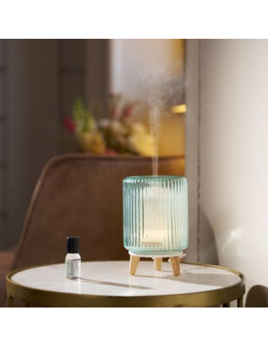DECORATION ESTEBAN DIFFUSEUR VERT D...
