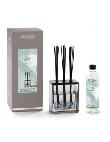 DECORATION ESTEBAN BOUQ PARF TRIPT...