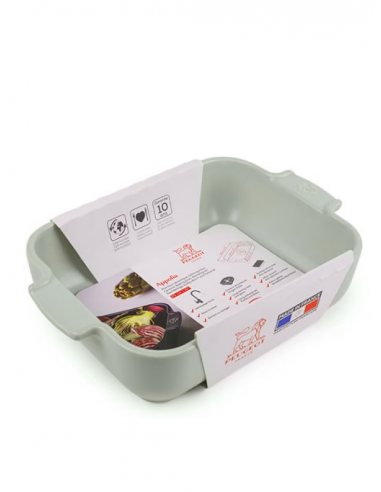 PLAT PEUGEOT APPOLIA A FOUR RECT 25CM...