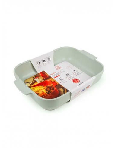PLAT PEUGEOT APPOLIA A FOUR RECT 40CM...