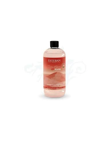 DECORATION ESTEBAN RECH BOUQ PARFUME...