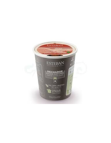 DECORATION ESTEBAN RECH BOUGIE 180GR...