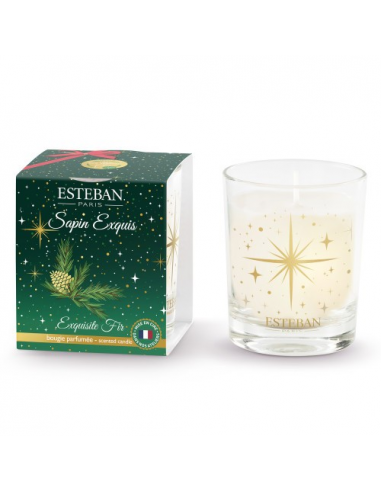 DECORATION ESTEBAN MINI BOUGIE SAPIN...