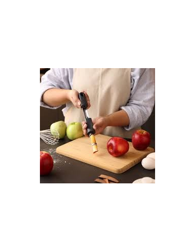 ACCESSOIRE ZYLISS VIDE POMME