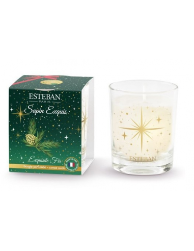 DECORATION ESTEBAN MINI BOUGIE 70G...