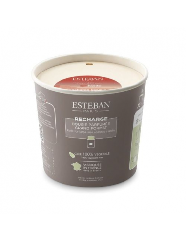 DECORATION ESTEBAN RECH BOUGIE PARF...