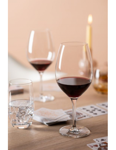 VERRE SCHOTT ZWIESEL FOR YOU BANQUET...