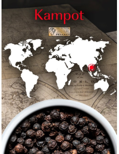 POIVRIER PEUGEOT KAMPOT...