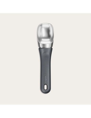ACCESSOIRE ZYLISS CUILLER A GLACE...