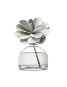 DECORATION MUHA DIFFUSEUR...