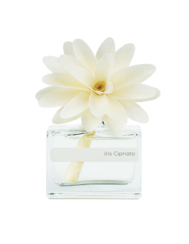 DECORATION MUHA DIFFUSEUR FLEURS...