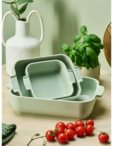 PLAT PEUGEOT APPOLIA A FOUR RECT 25CM...