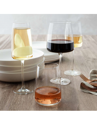 VERRE SCHOTT ZWIESEL VIVID SENSES...